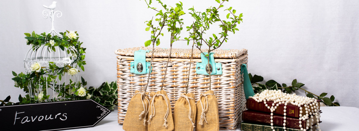 Tree wedding favours and hamper
